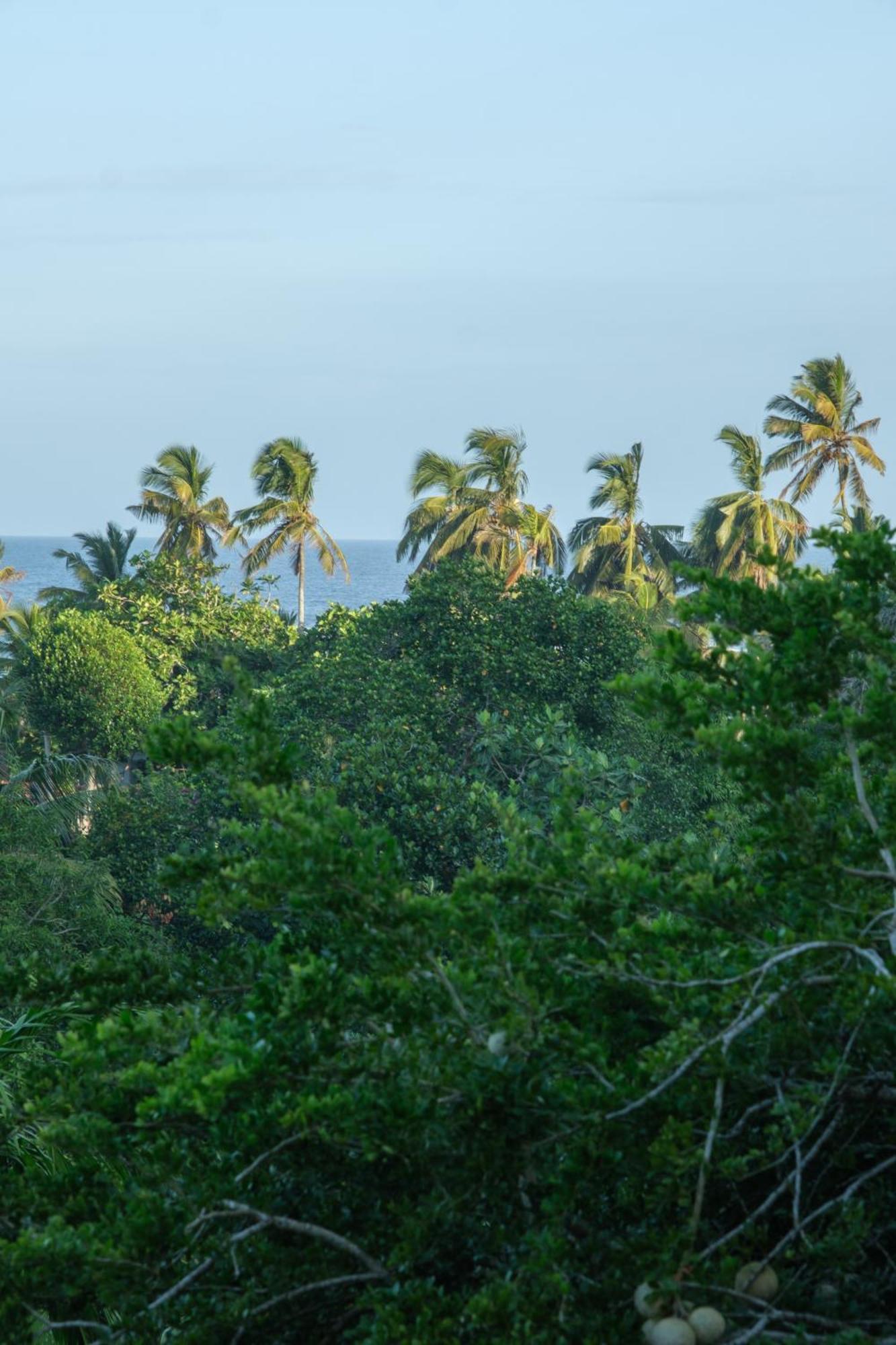 The Jungle View Hotell Mirissa Exteriör bild
